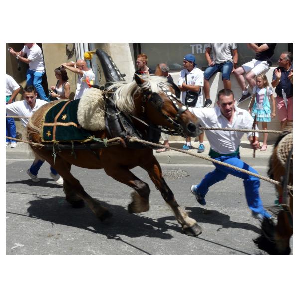 PHOTO84, CLUB, 84 , LUBERON